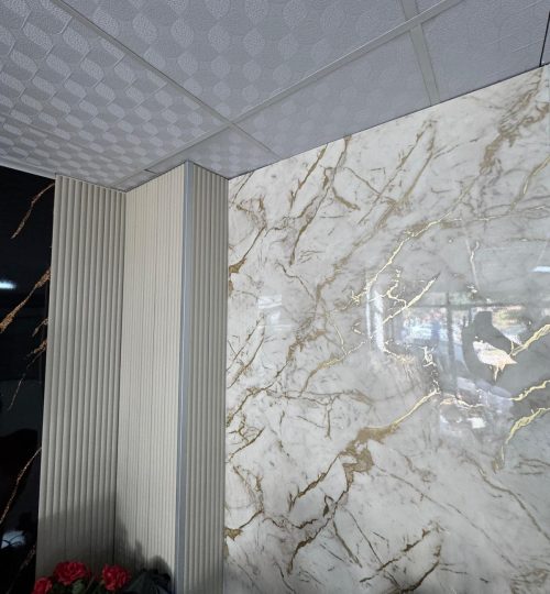 WhatsApp Image 2026-02-21 at 02.55.46 (2)